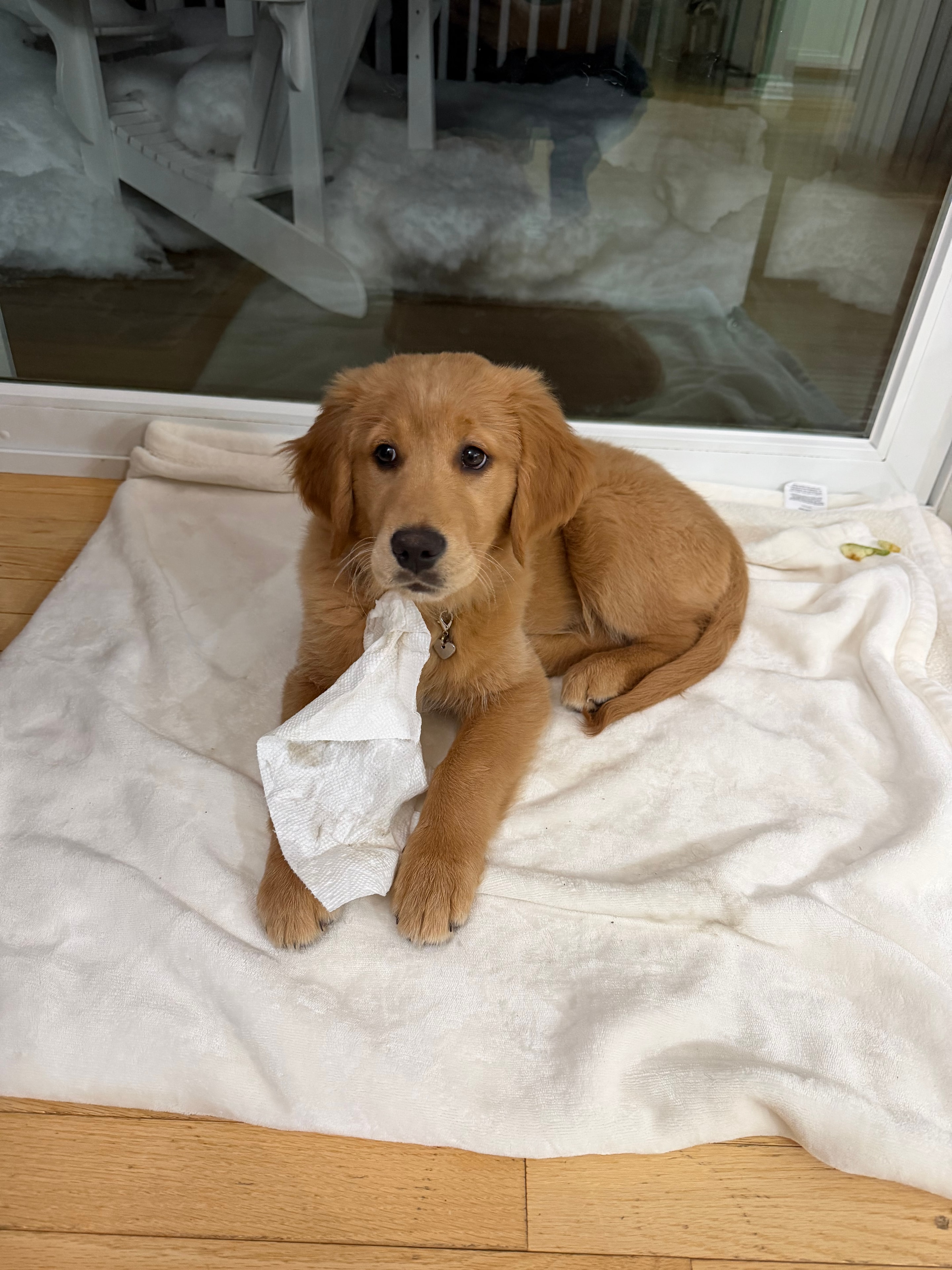 Annie — Head of Security